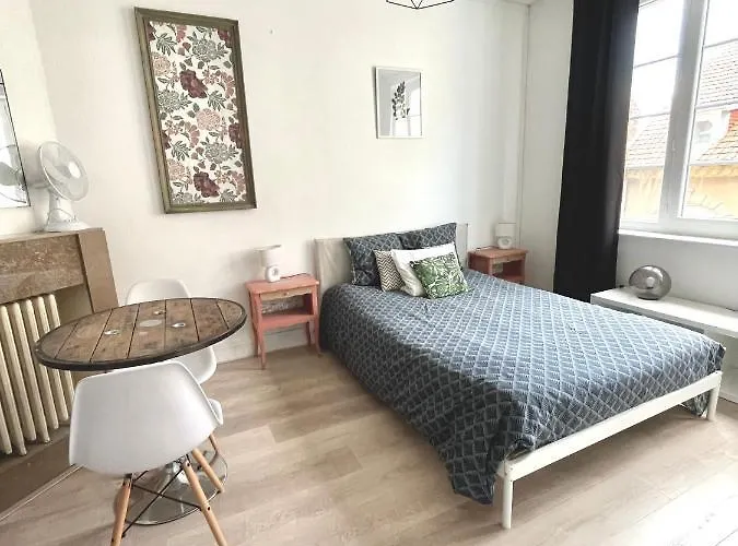 Elegant Studio Renove